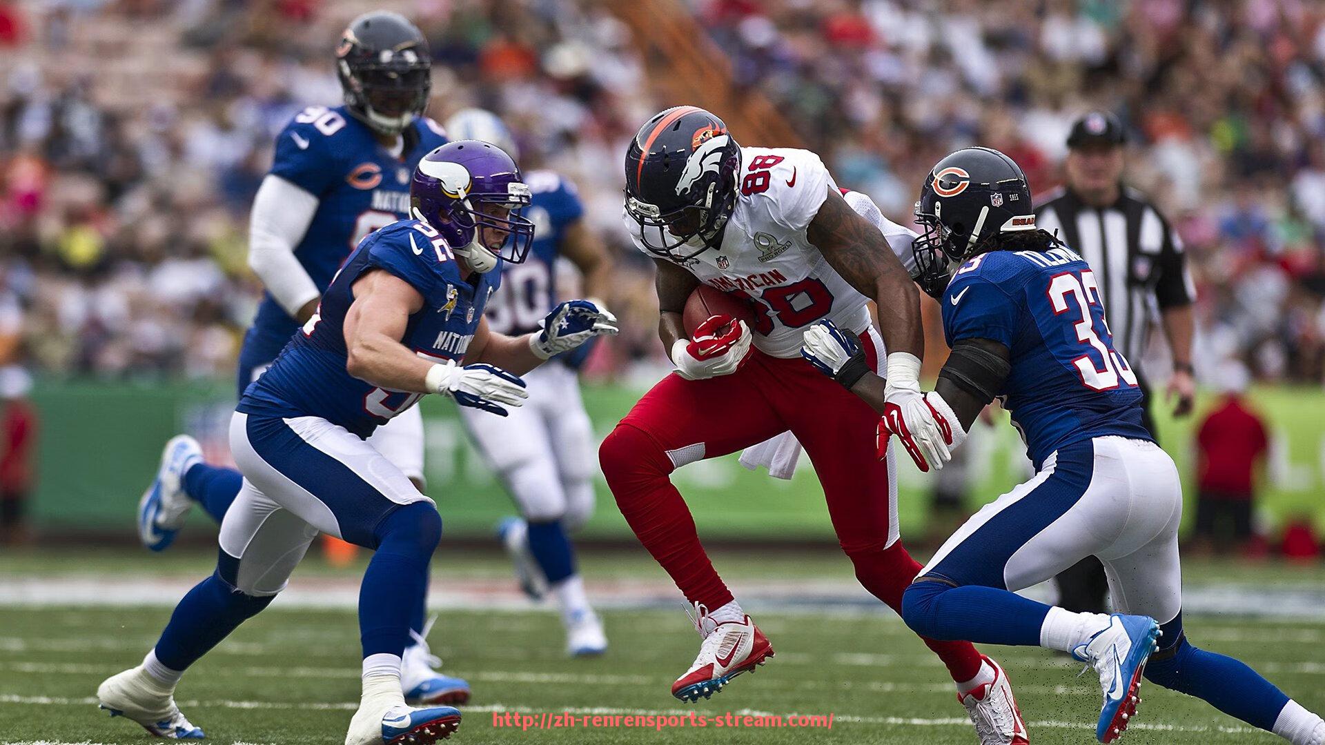 人人体育直播-各类健身器材的功能分类及使用指南